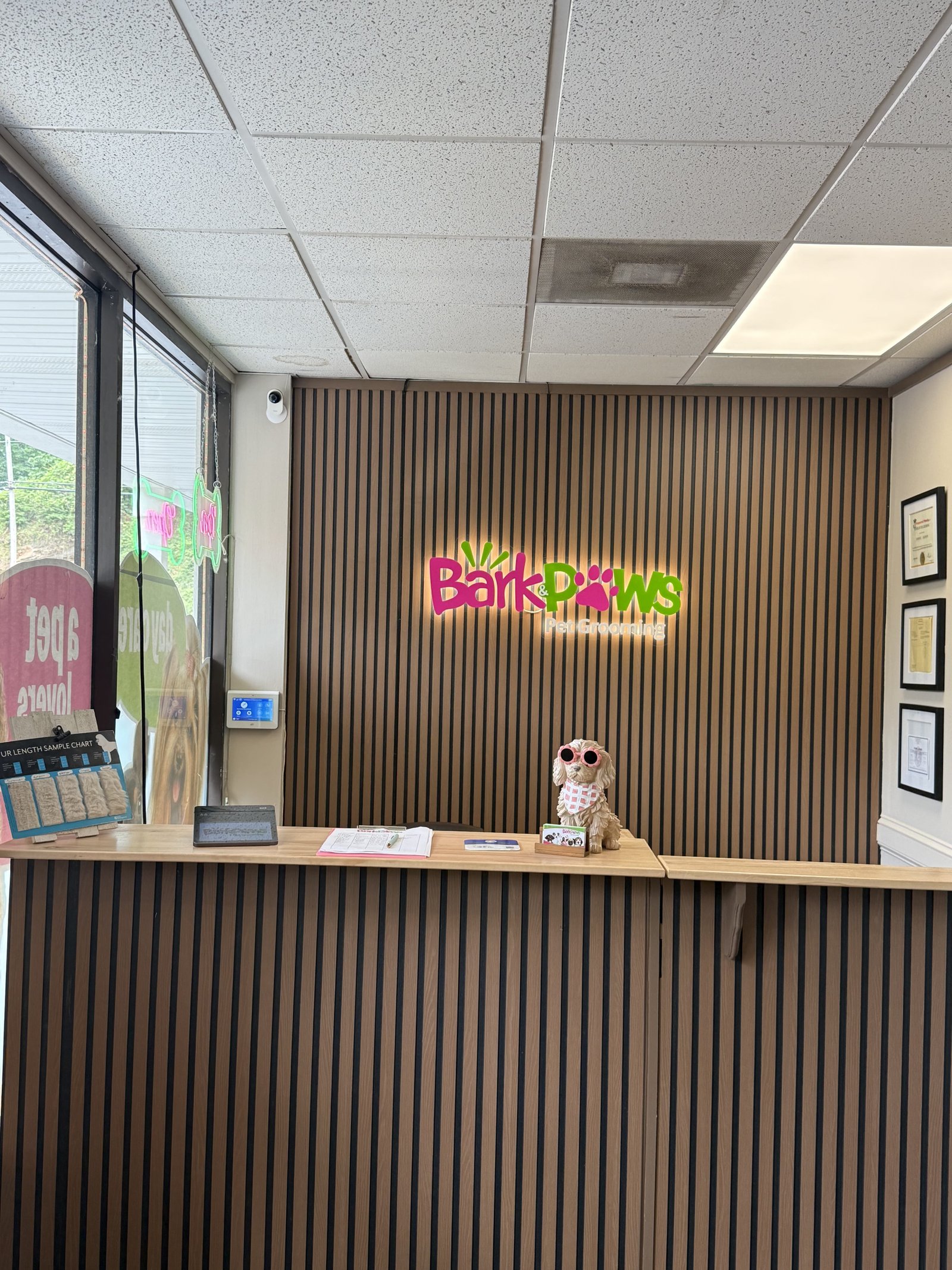 Bark & Paws front desk
